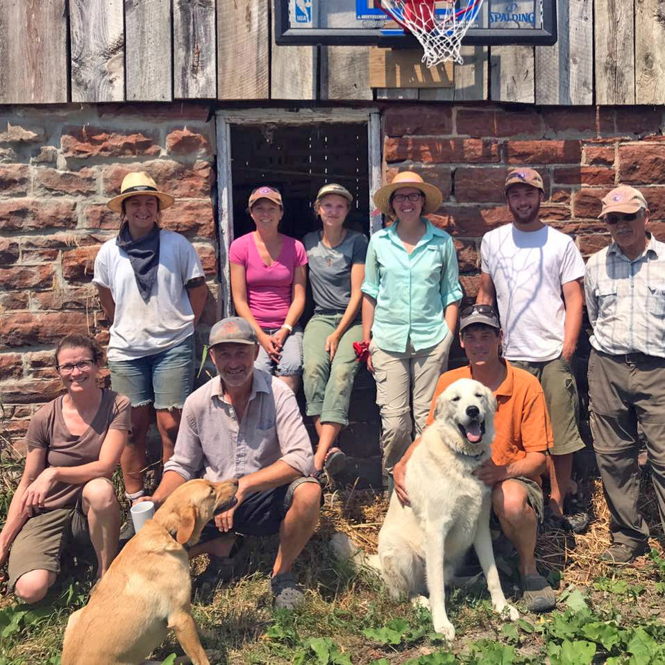 Love Local Patchwork Gardens Foodsmiths