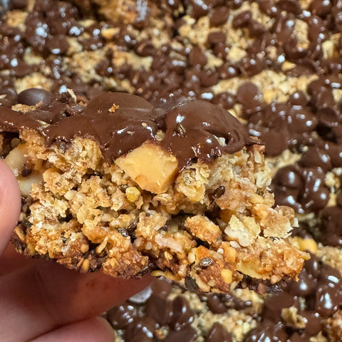 Dairy-Free, Gluten-Free, Protein Granola Bars