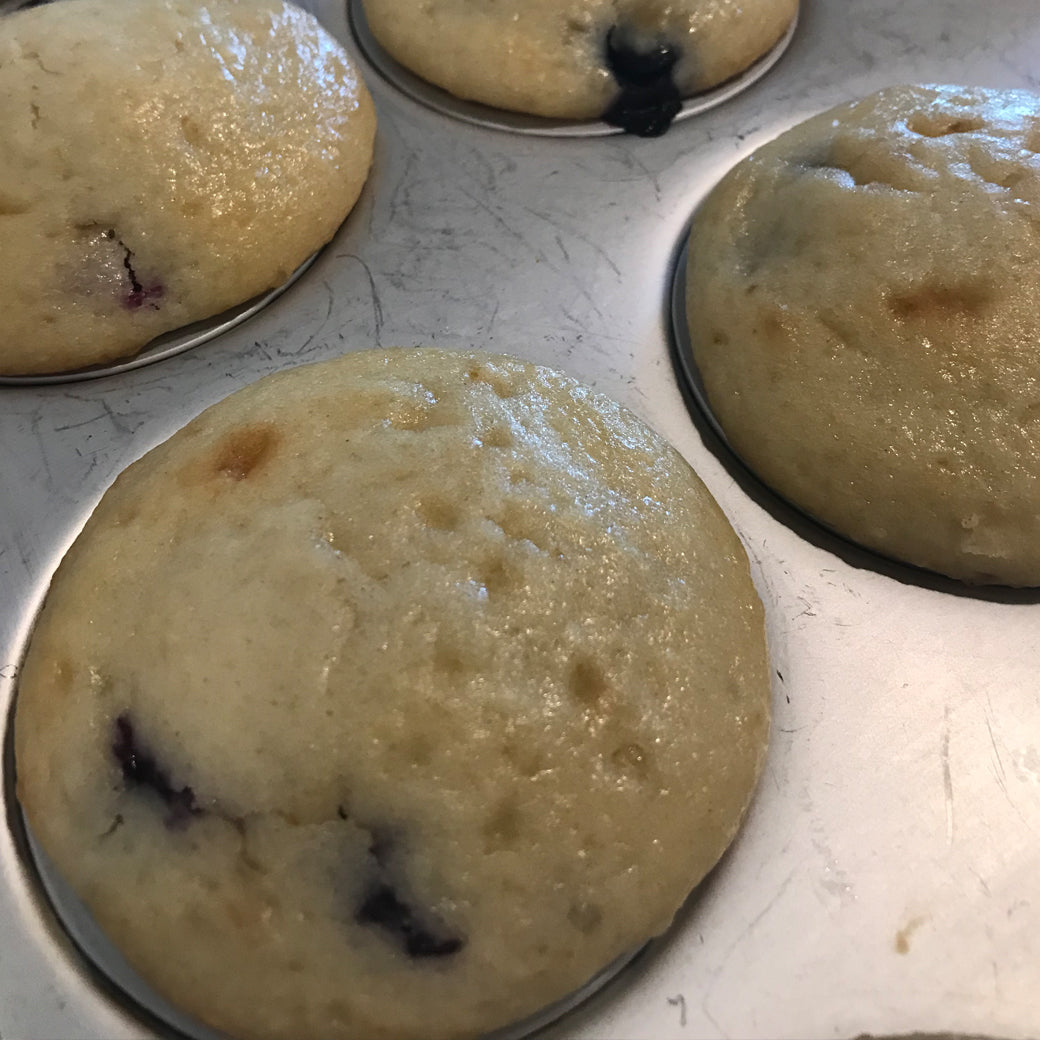 Blueberry Muffins