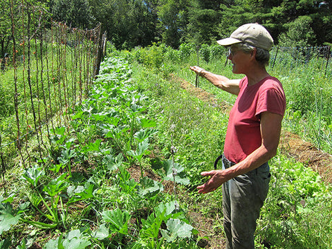 The Farm that Titia Built