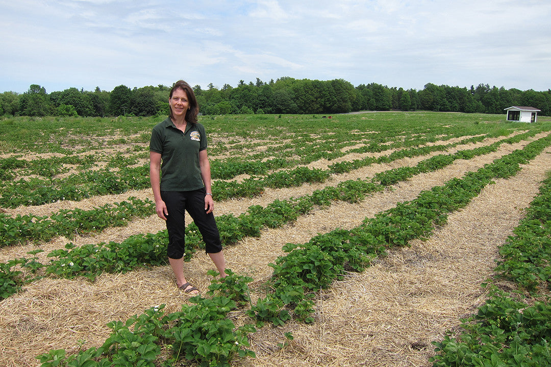 The farm just down the road: Miller's Bay