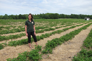 The farm just down the road: Miller's Bay