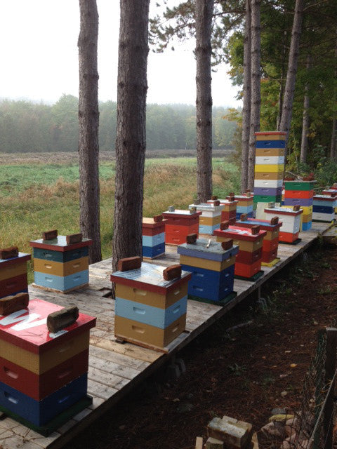 About Local: Crooked Hills Honey
