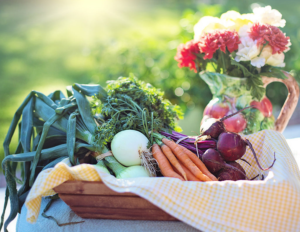 Ten Reasons to Go Organic All Year Long