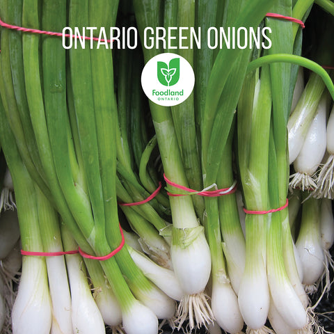 Ontario Fresh
