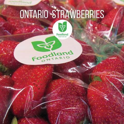 Ontario Fresh