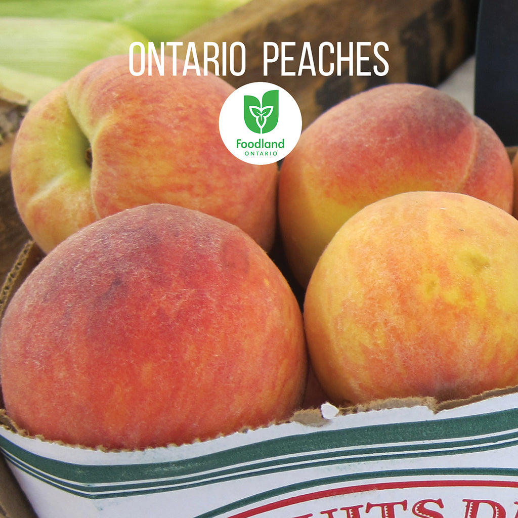 Ontario Fresh