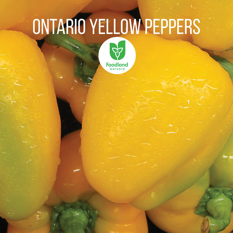 Ontario Fresh