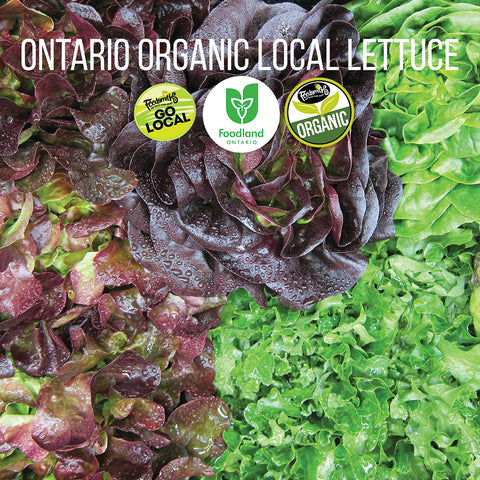 Ontario Organic