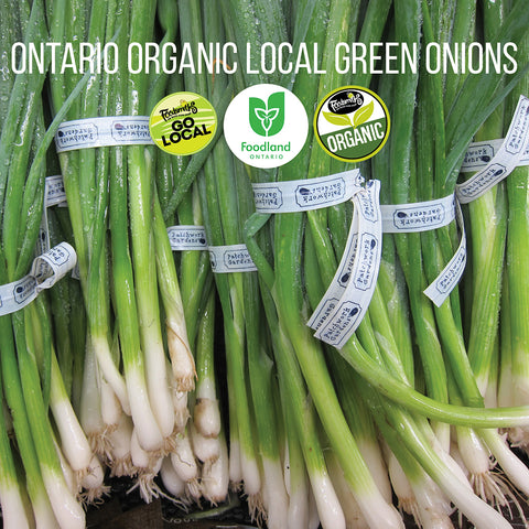 Ontario Organic