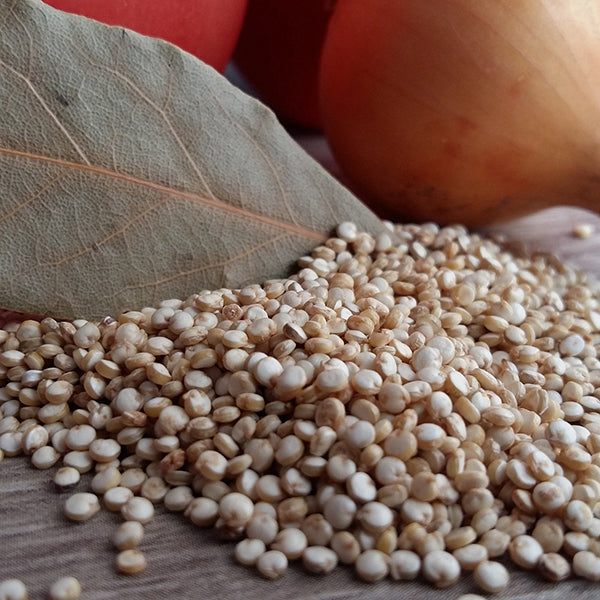 Pastas and Grains